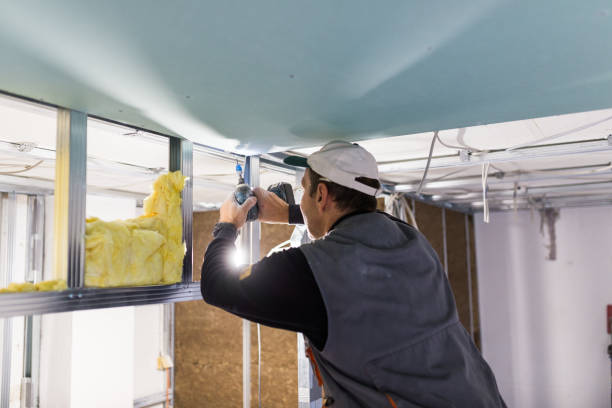 Best Insulation Contractors for Homes  in Capitol View, SC