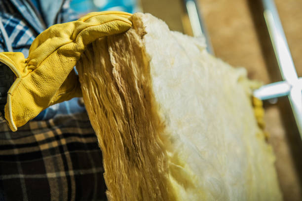 Best Spray Foam Insulation  in Capitol View, SC