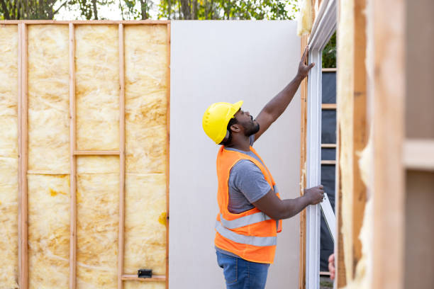 Best Best Insulation Companies  in Capitol View, SC