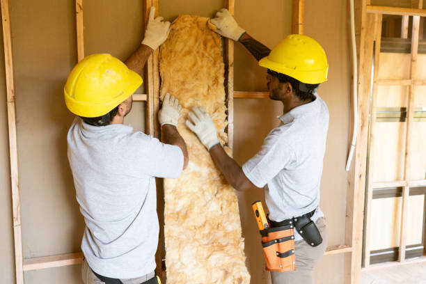 Professional Insulation Contractor in Capitol View, SC