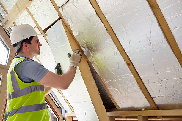 Best Cellulose Insulation  in Capitol View, SC